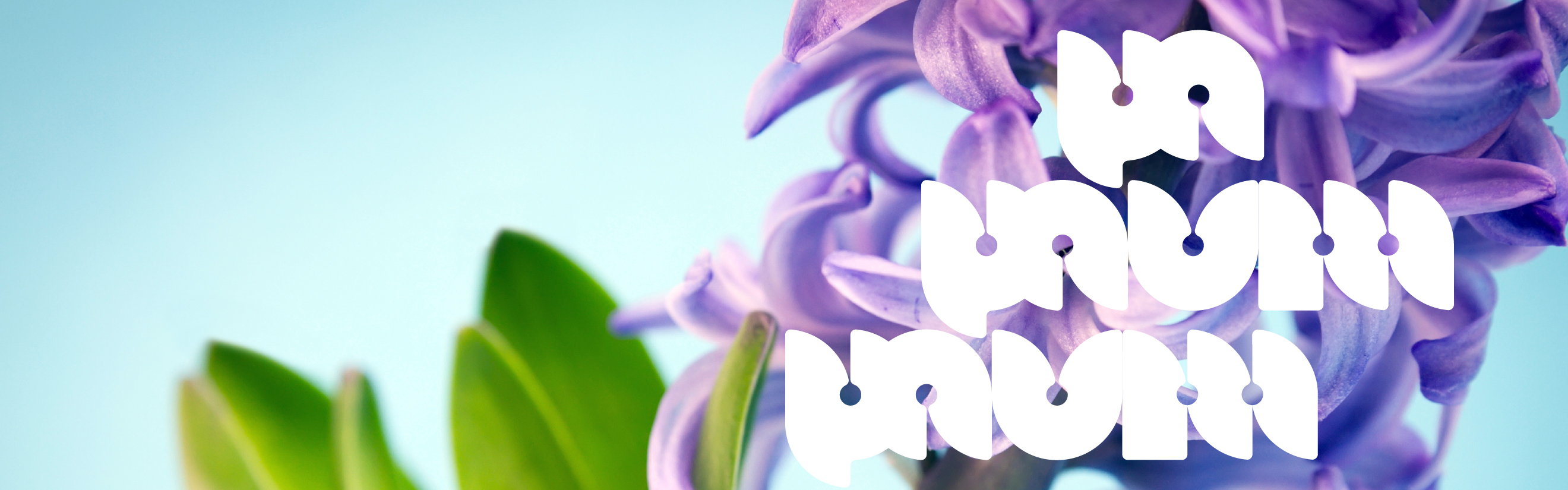 slideshow banner